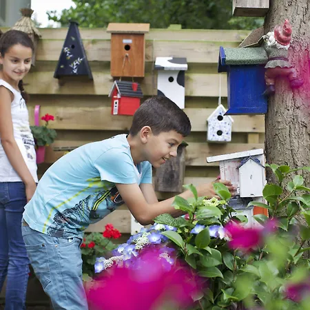 Hostel Stayokay Haarlem