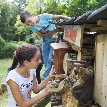 אכסניה Stayokay הארלם